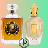 عطر ادکلن مردانه و زنانه زرجف ناکسوس